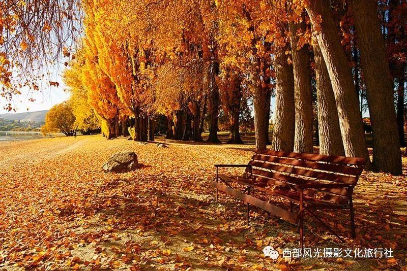 天津火车站到天津肿瘤医院滨海医院怎么走？游戏画面