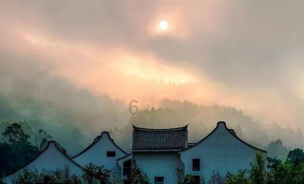 虫虫助手下载